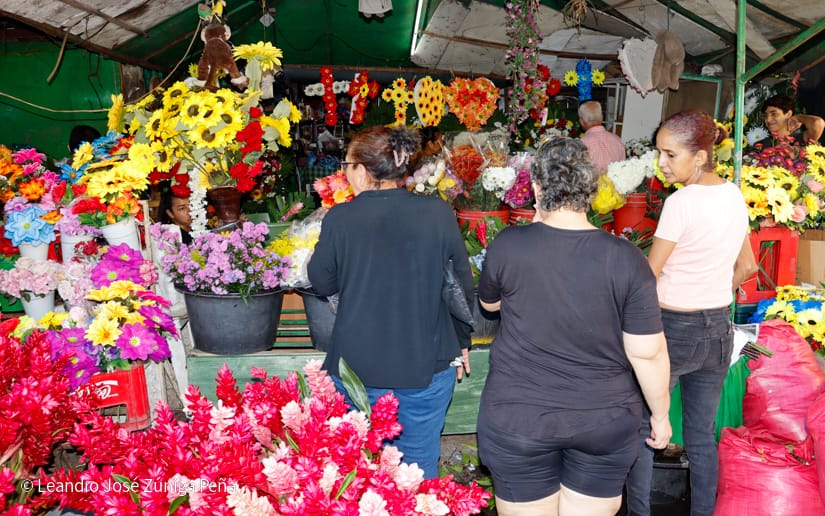 FLORES19