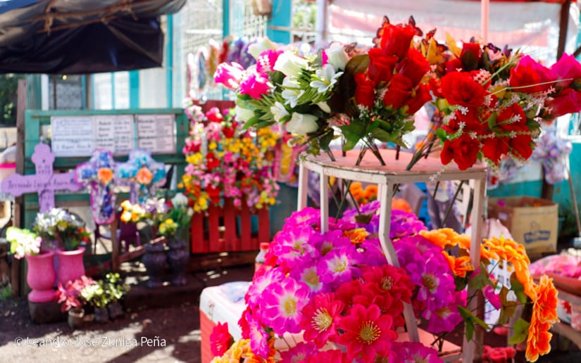 FLORES2