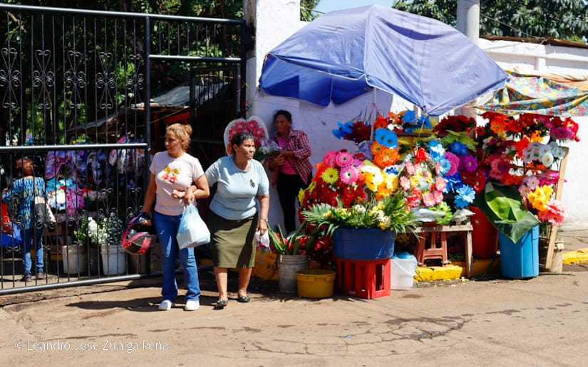 FLORES3