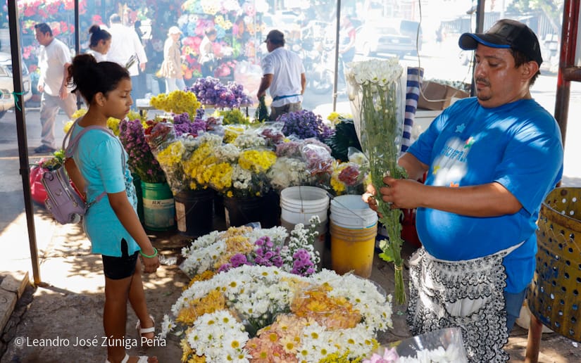FLORES5