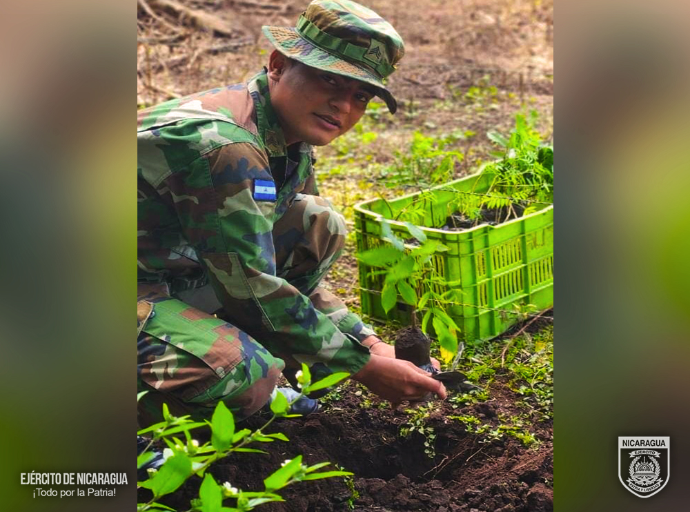 REFORESTACION2