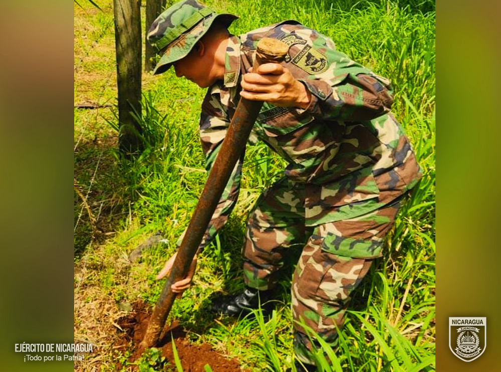 REFORESTACION3