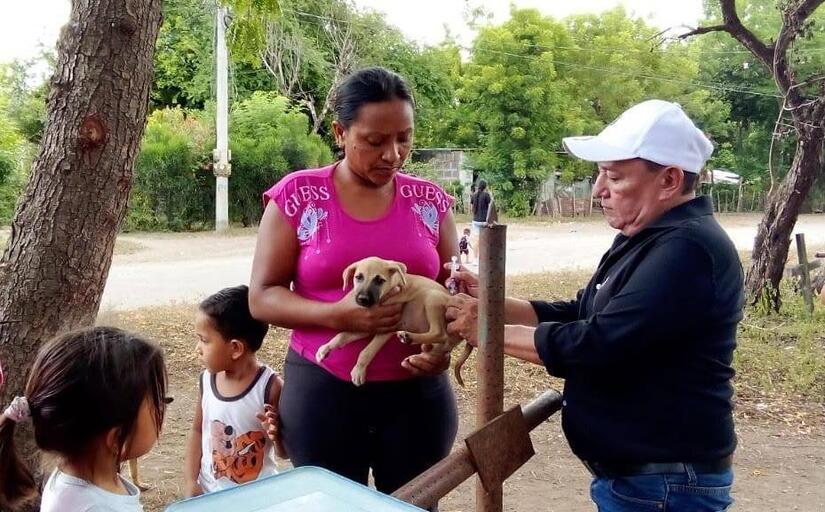 Vacunacion-Canina-5