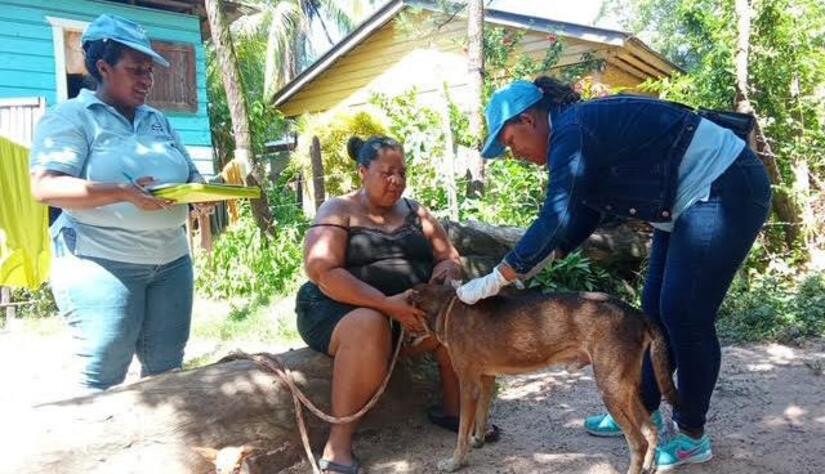 Vacunacion-Canina-7