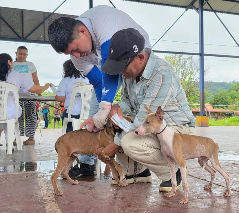 Vacunacion-Canina-9