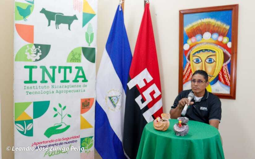 INTA-3