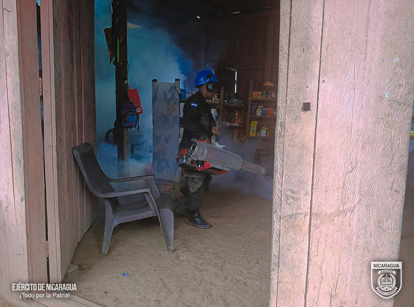 FUMIGACION1