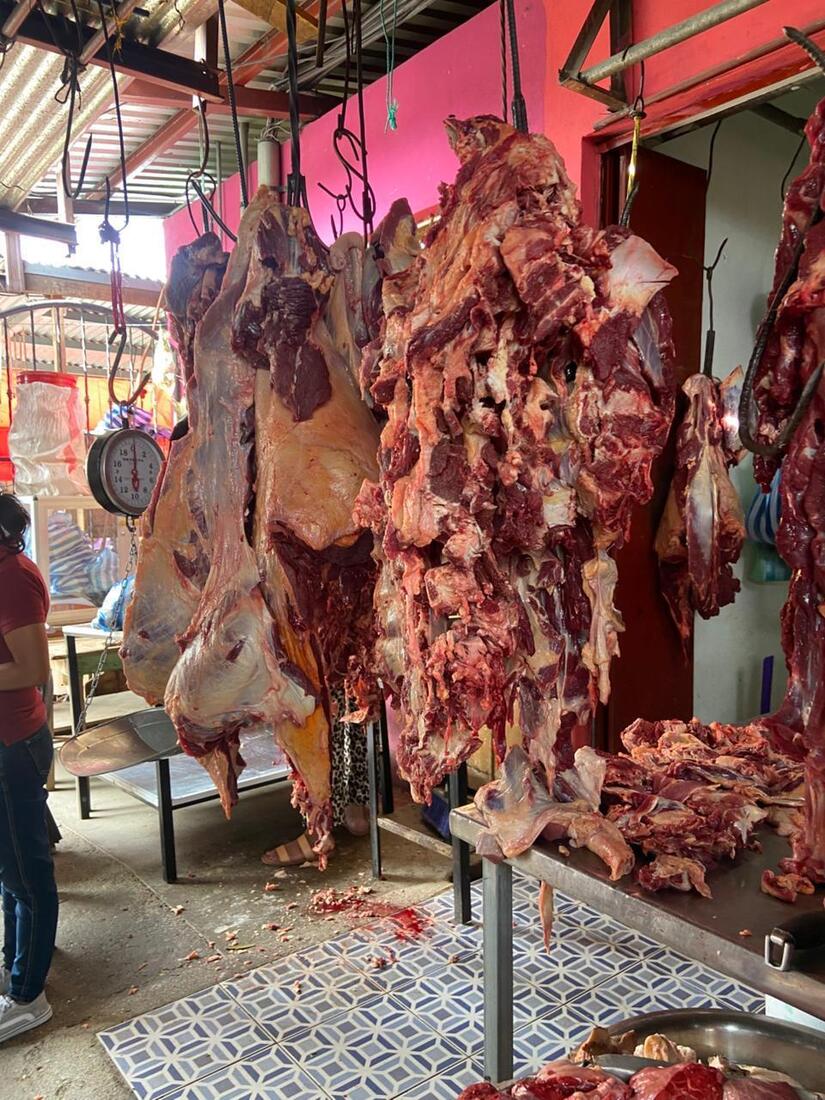 Produccion-de-carne-bovina-2