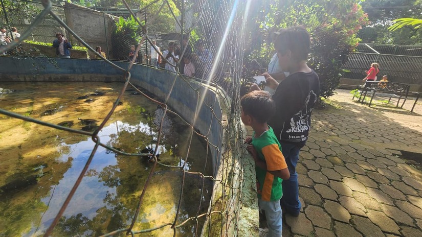 ZOOLOGICO-(10)