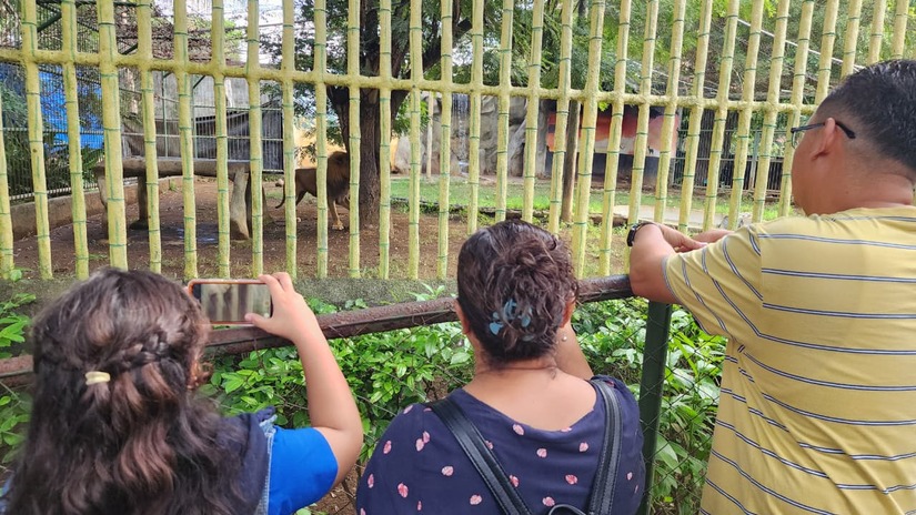 ZOOLOGICO-(18)