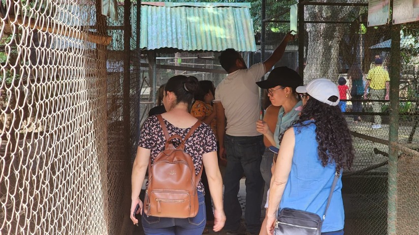 ZOOLOGICO-(19)