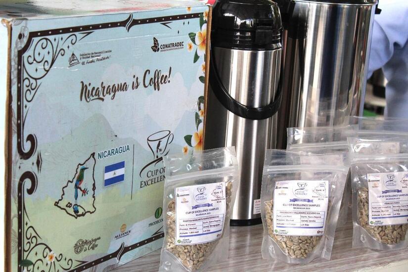 Feria-del-Cafe-8