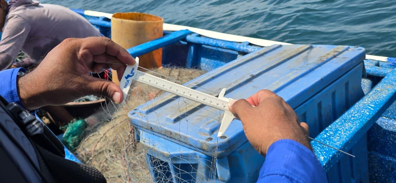 INPESCA1