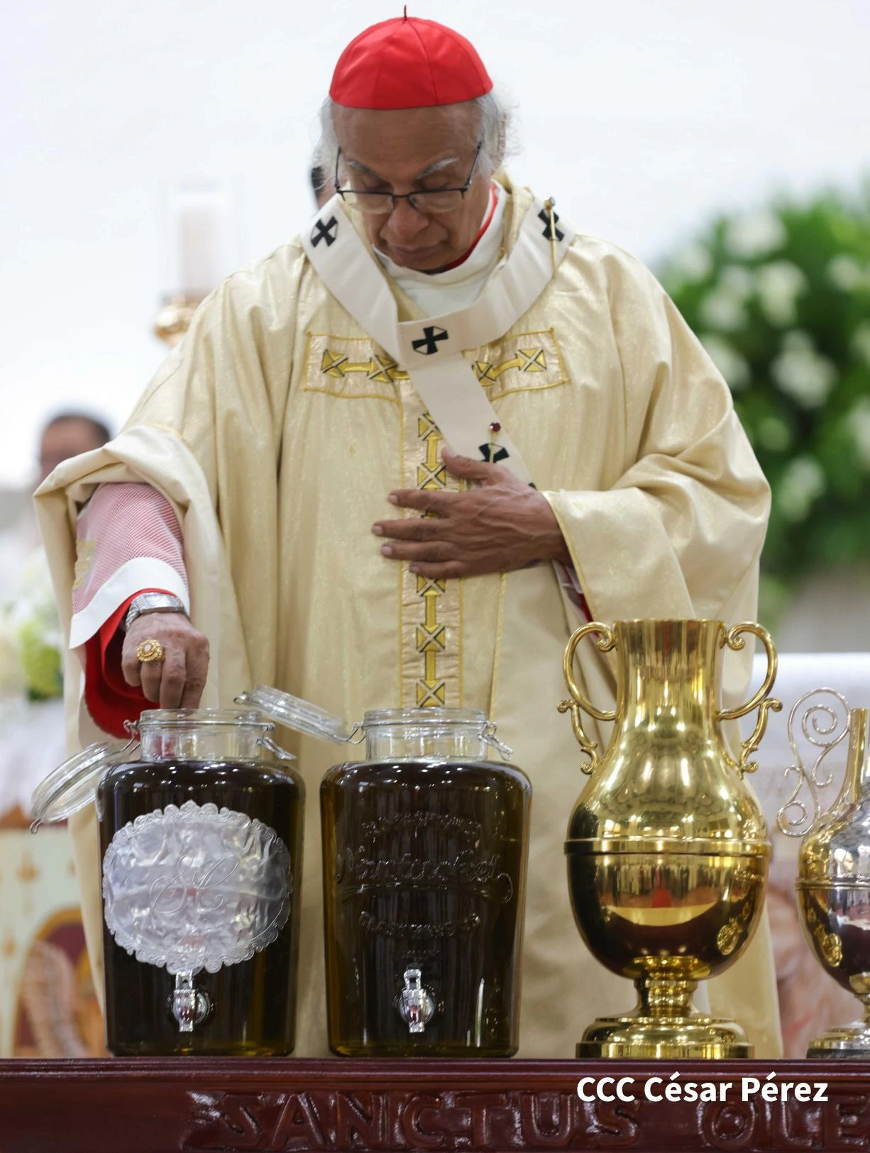 GALERIA-(15)
