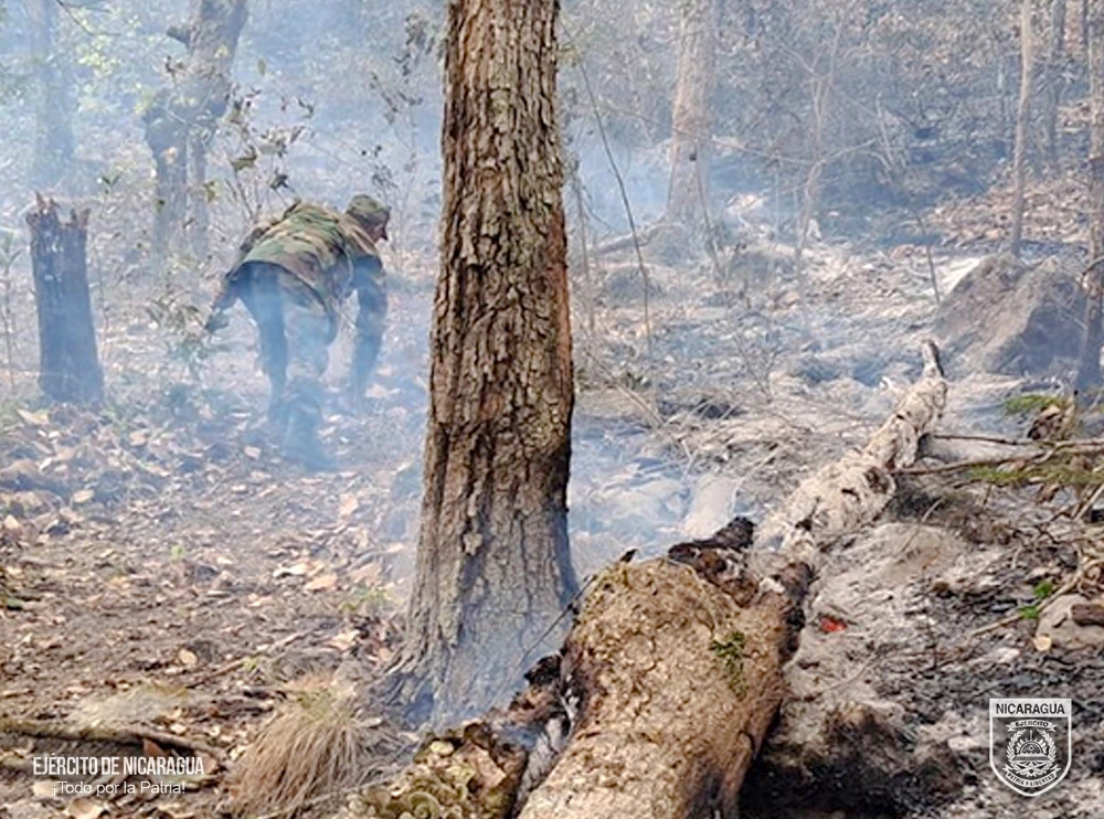 INCENDIO-(1)