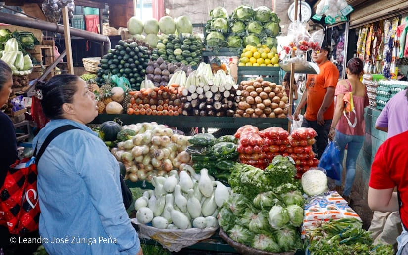 MERCADO16