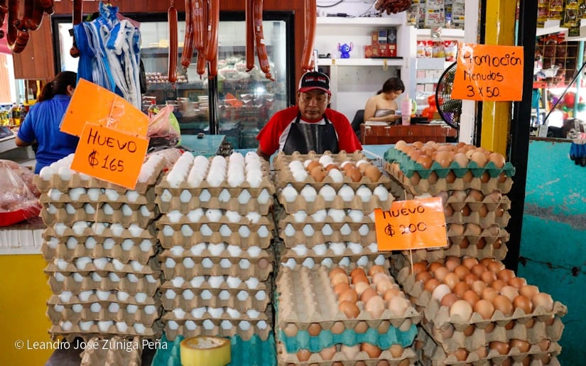 MERCADO19