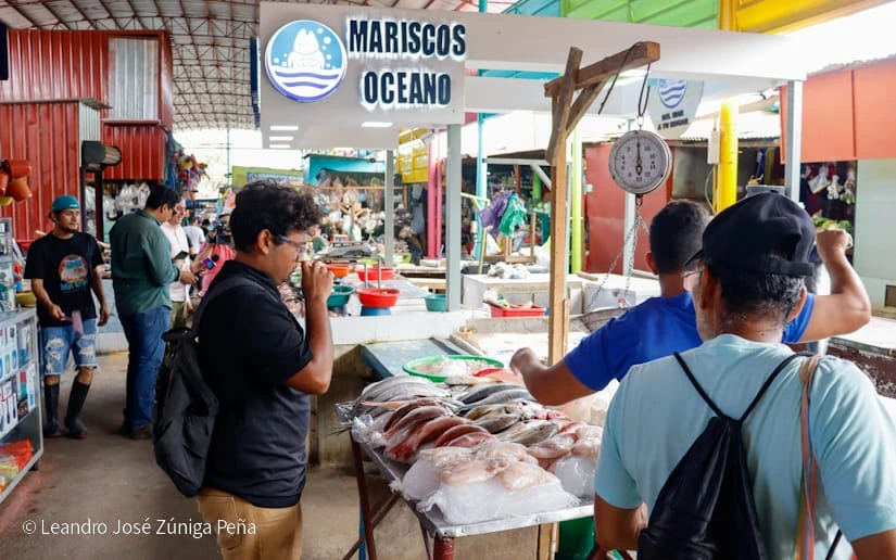 MERCADO5