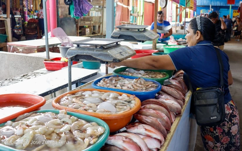 MERCADO7