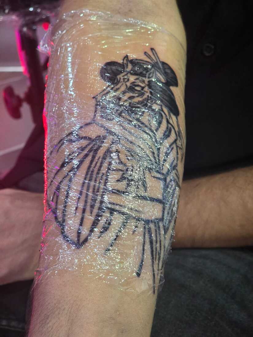 Expo-Tatoo-20