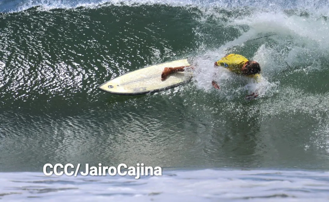 Surf--(11)