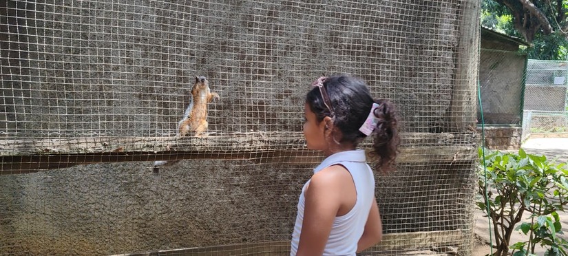 ,Managua--(6)