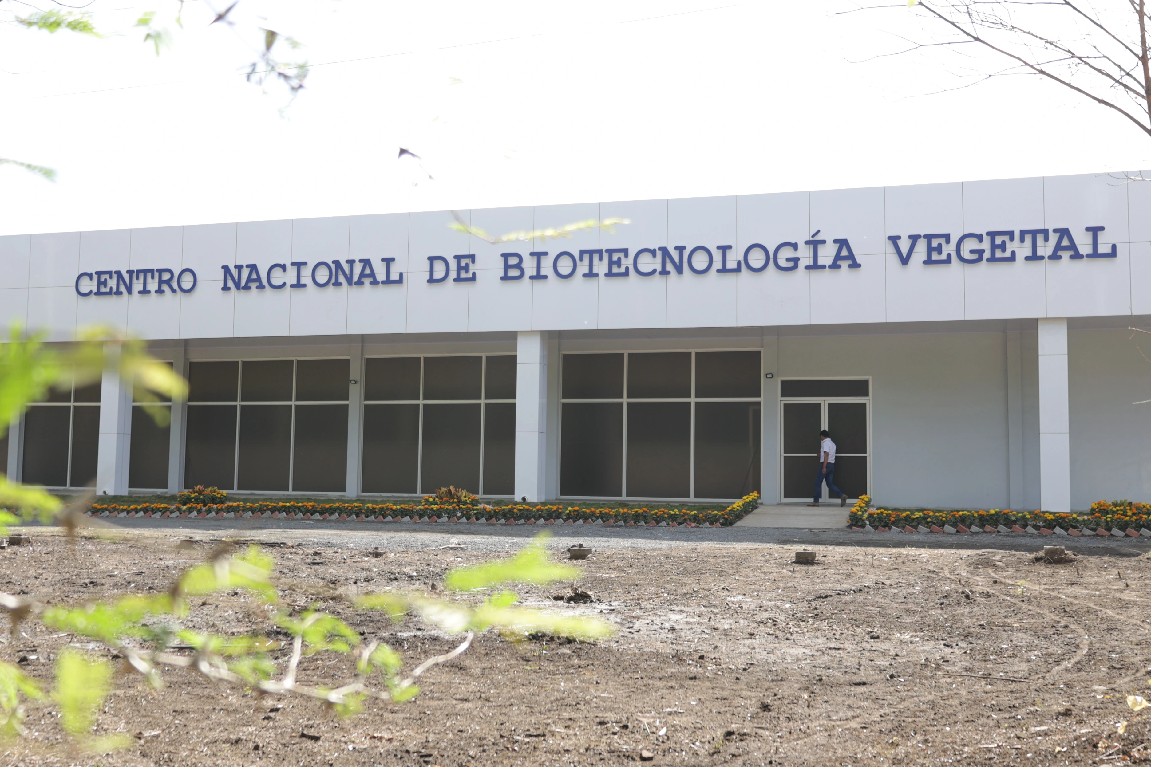 CENTRO-(19)