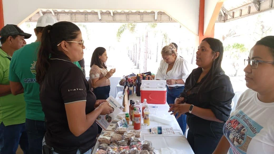 CONEXION2