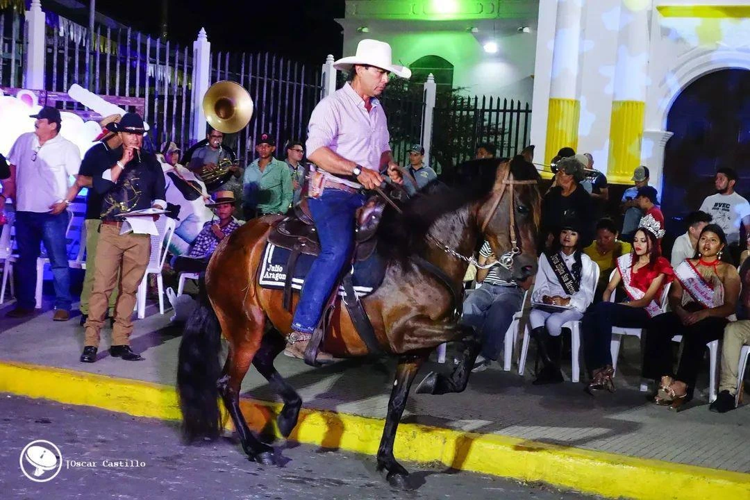 HIPICA11