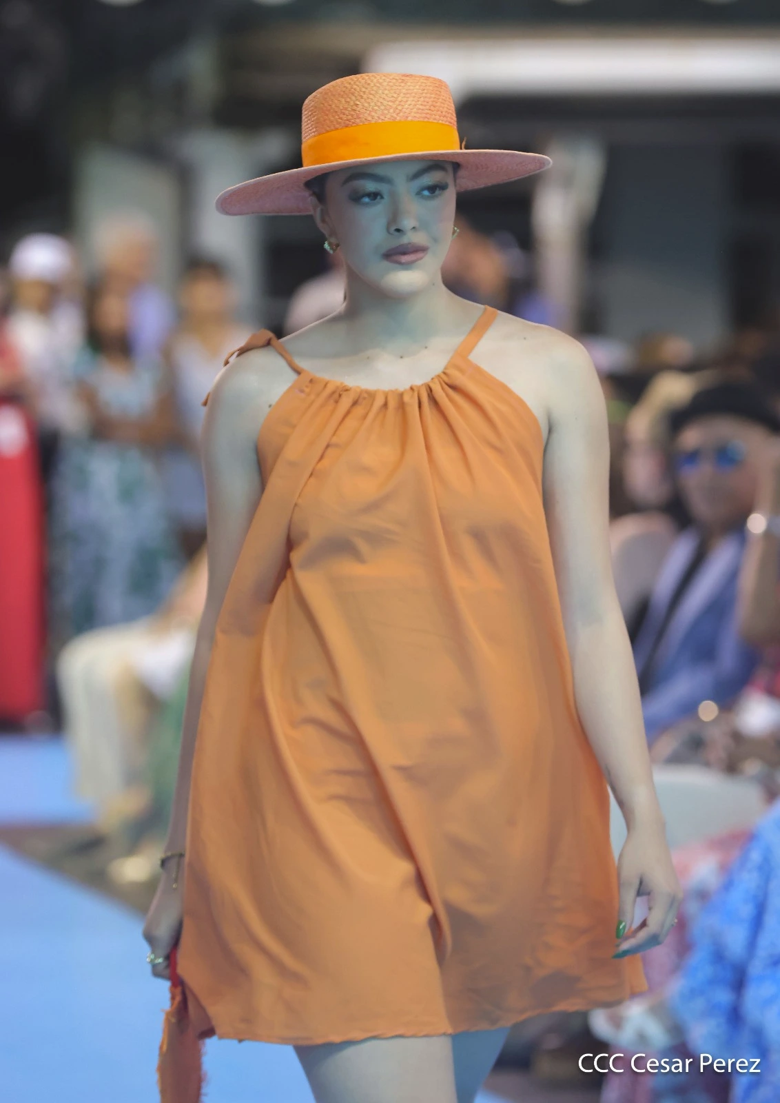 PASARELA-(35)