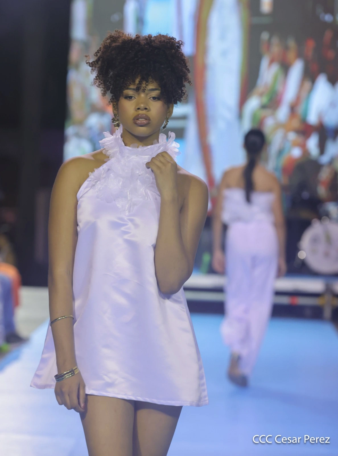 PASARELA-(4)