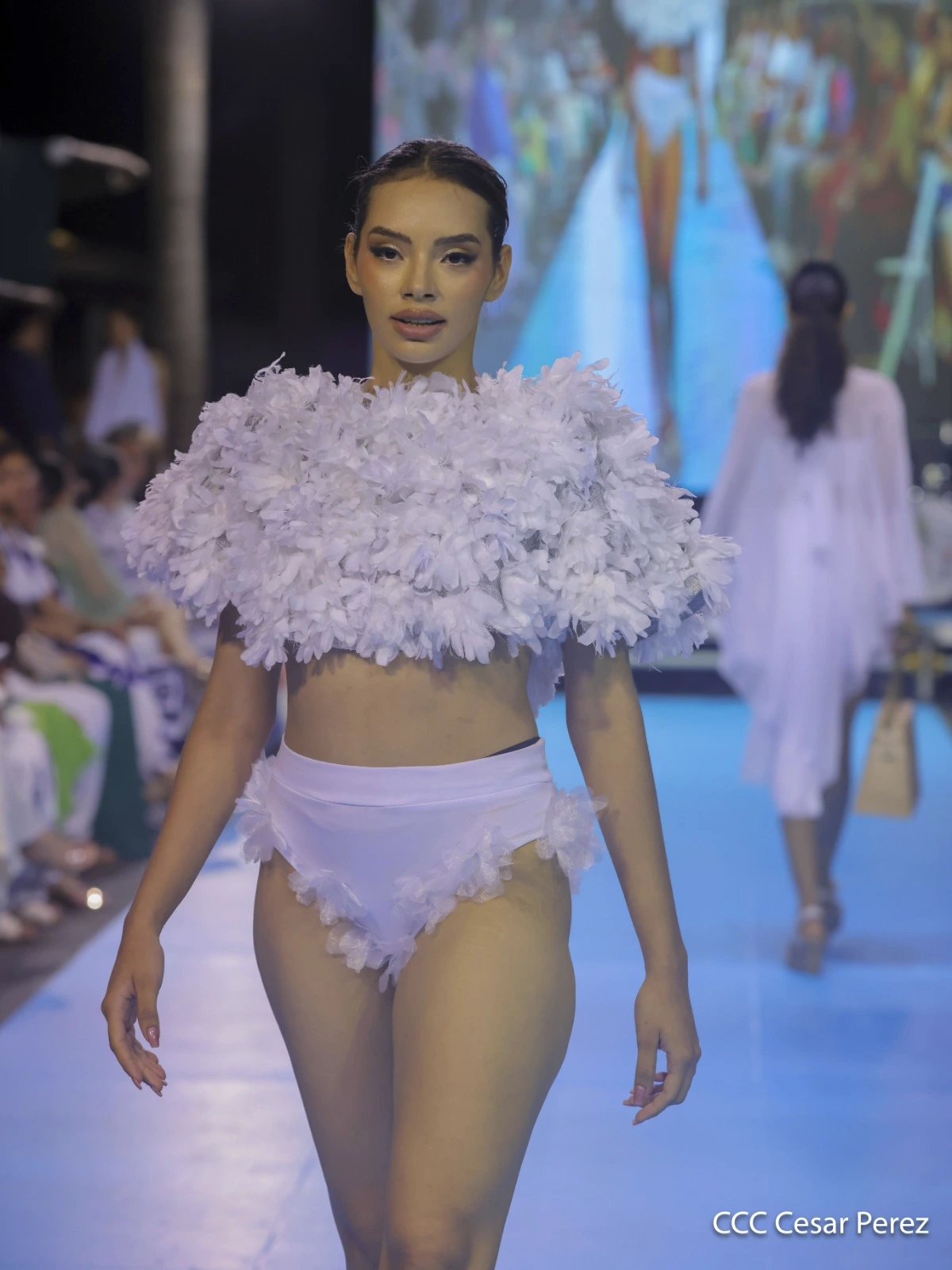 PASARELA-(5)