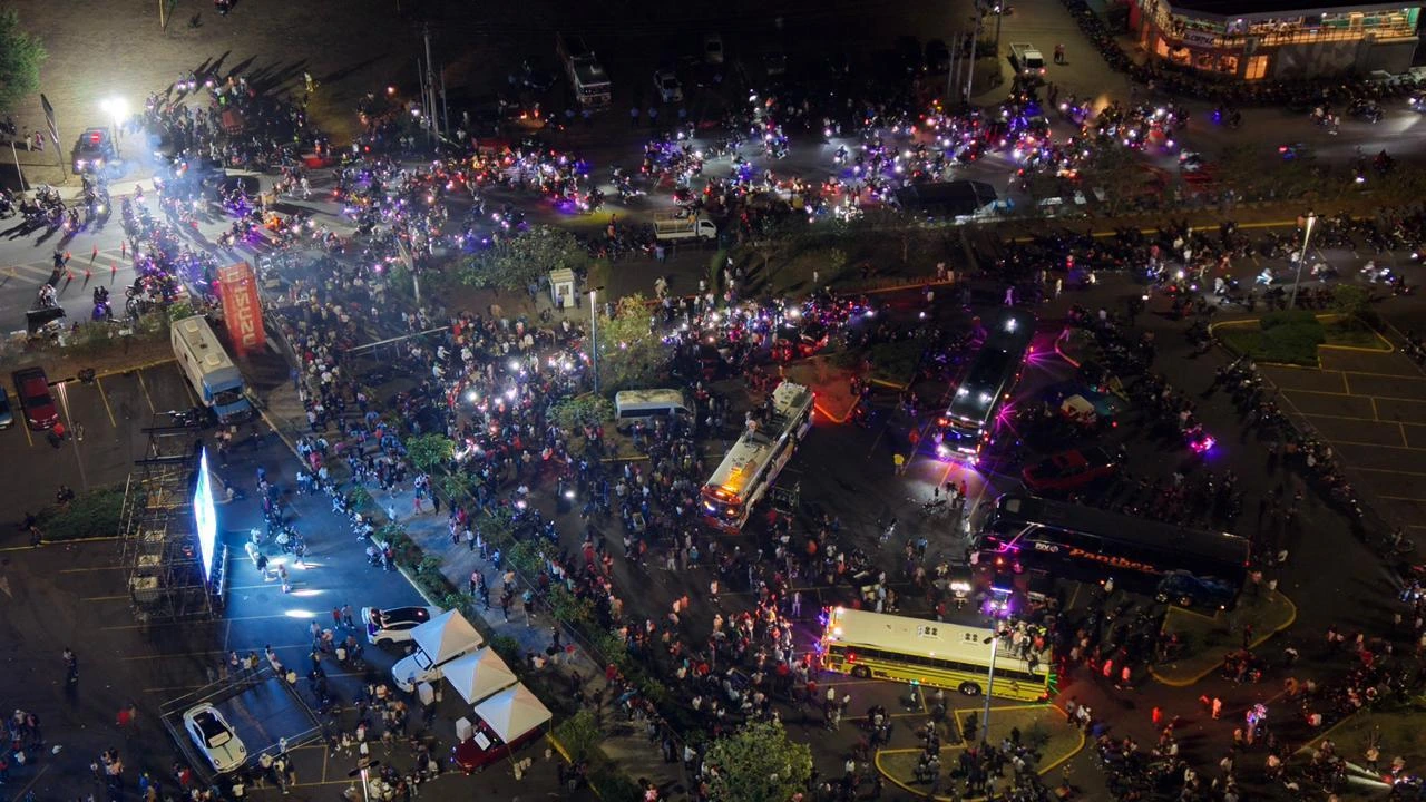 FESTIVAL-(55)