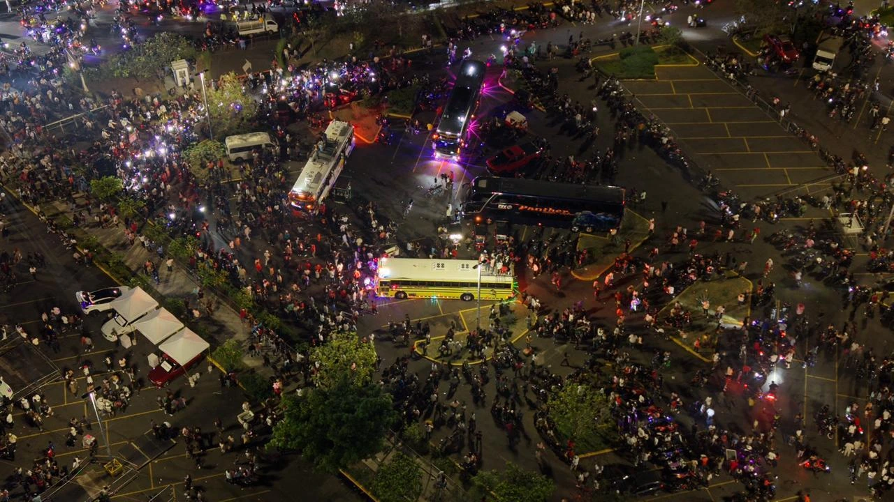FESTIVAL-(58)