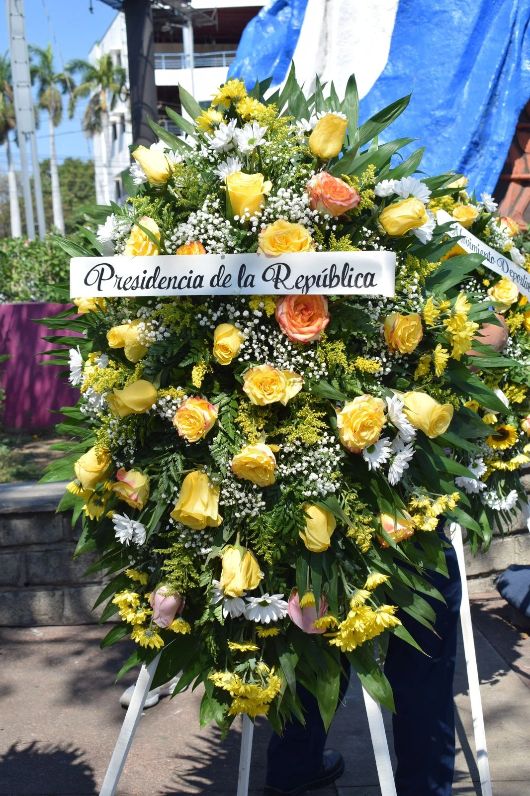 FLORES-(15)