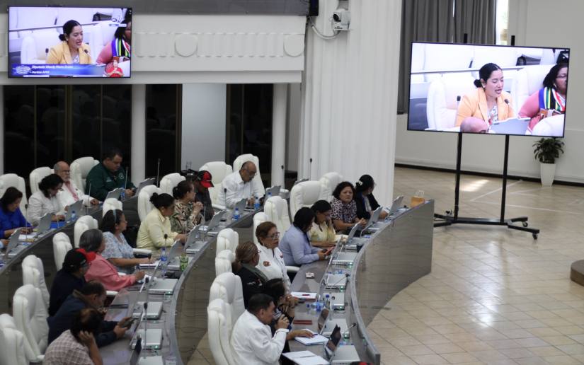 Asamblea-Nacional-8