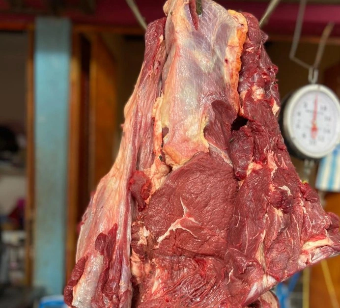 CARNE4