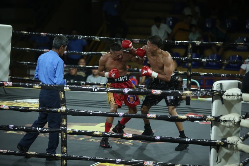 Boxeo--(33)