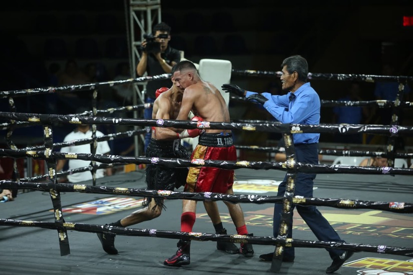 Boxeo--(4)