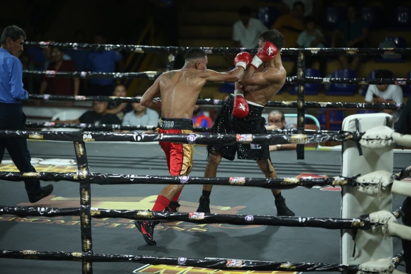 Boxeo--(41)