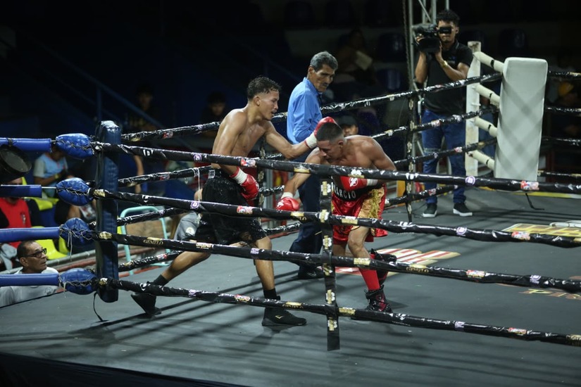 Boxeo--(47)