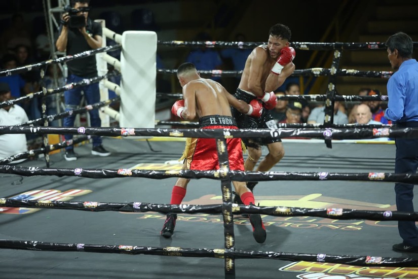 Boxeo--(60)