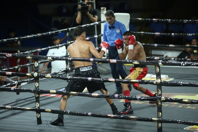 Boxeo--(67)