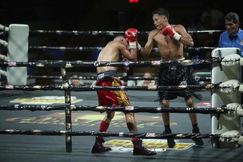 Boxeo--(7)