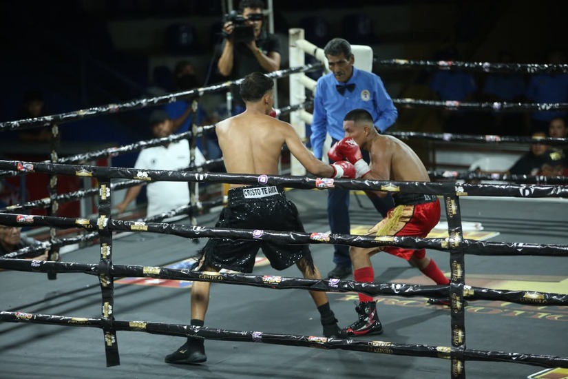 Boxeo--(71)