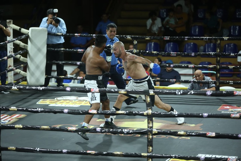 Boxeo--(81)