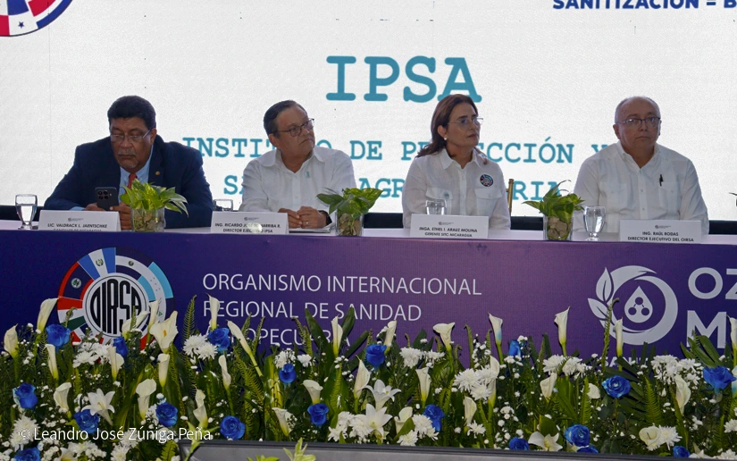 IPSA-(16)