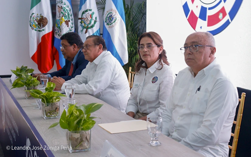 IPSA-(21)