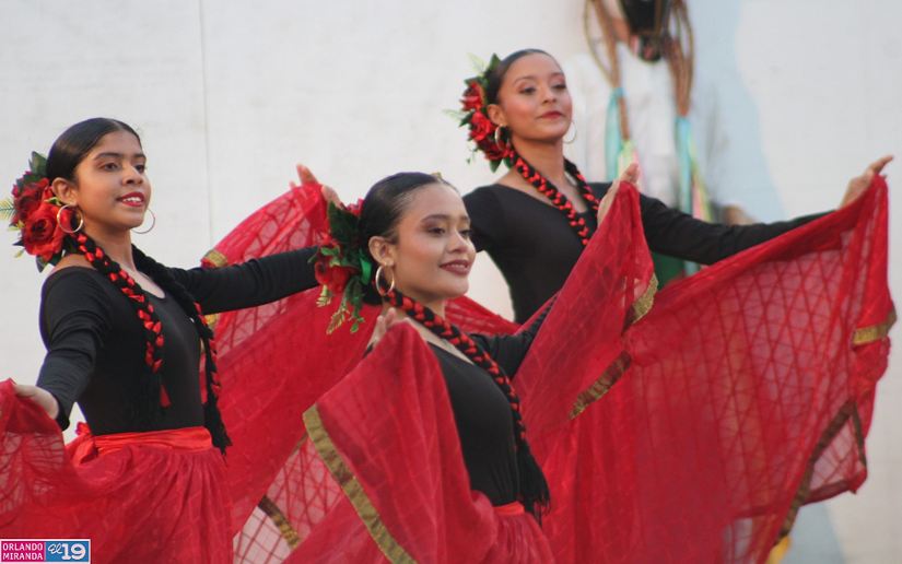 Festival--(3)