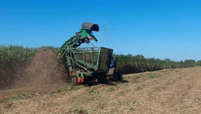 Produccion-de-azucar-1